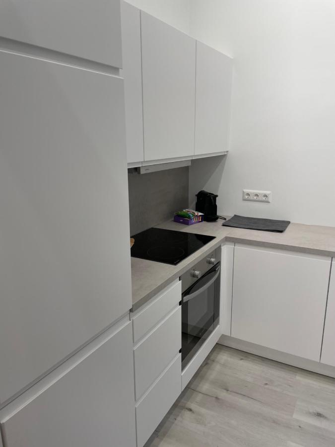 100M2 Apartment Naehe 1010 Wien エクステリア 写真